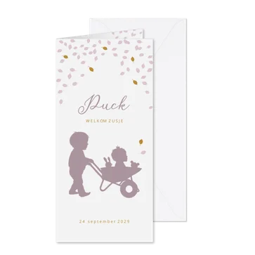 Geboortekaartje kruiwagen met baby zusje